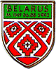 Значок Федерация хоккея Белоруссии